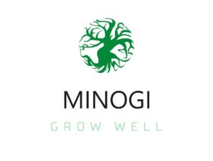 Minogi